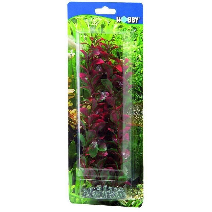 product/h/o/hobby_ho41516_rouge_2.jpg