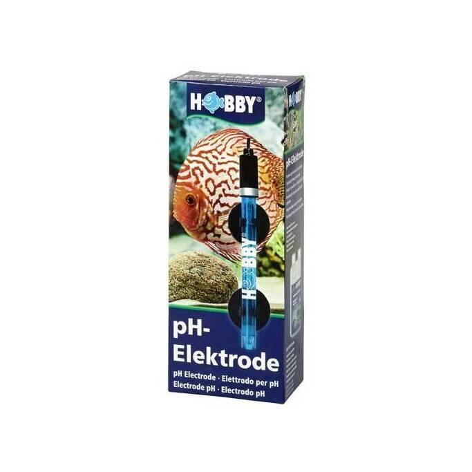 product/h/o/hobby_ho43010_bleu_1.jpg