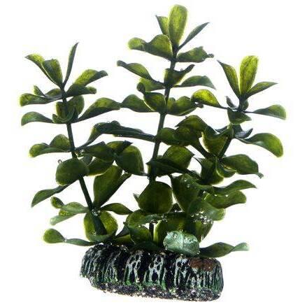 product/h/o/hobby_ho51555_vert_1.jpg