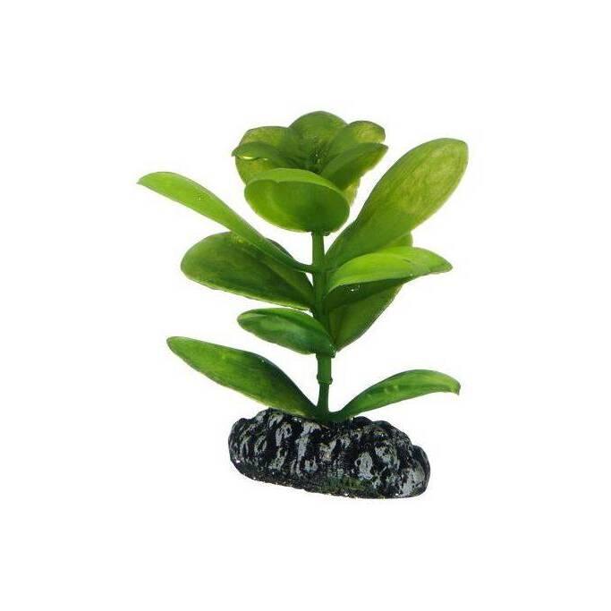 product/h/o/hobby_ho51562_vert_1.jpg
