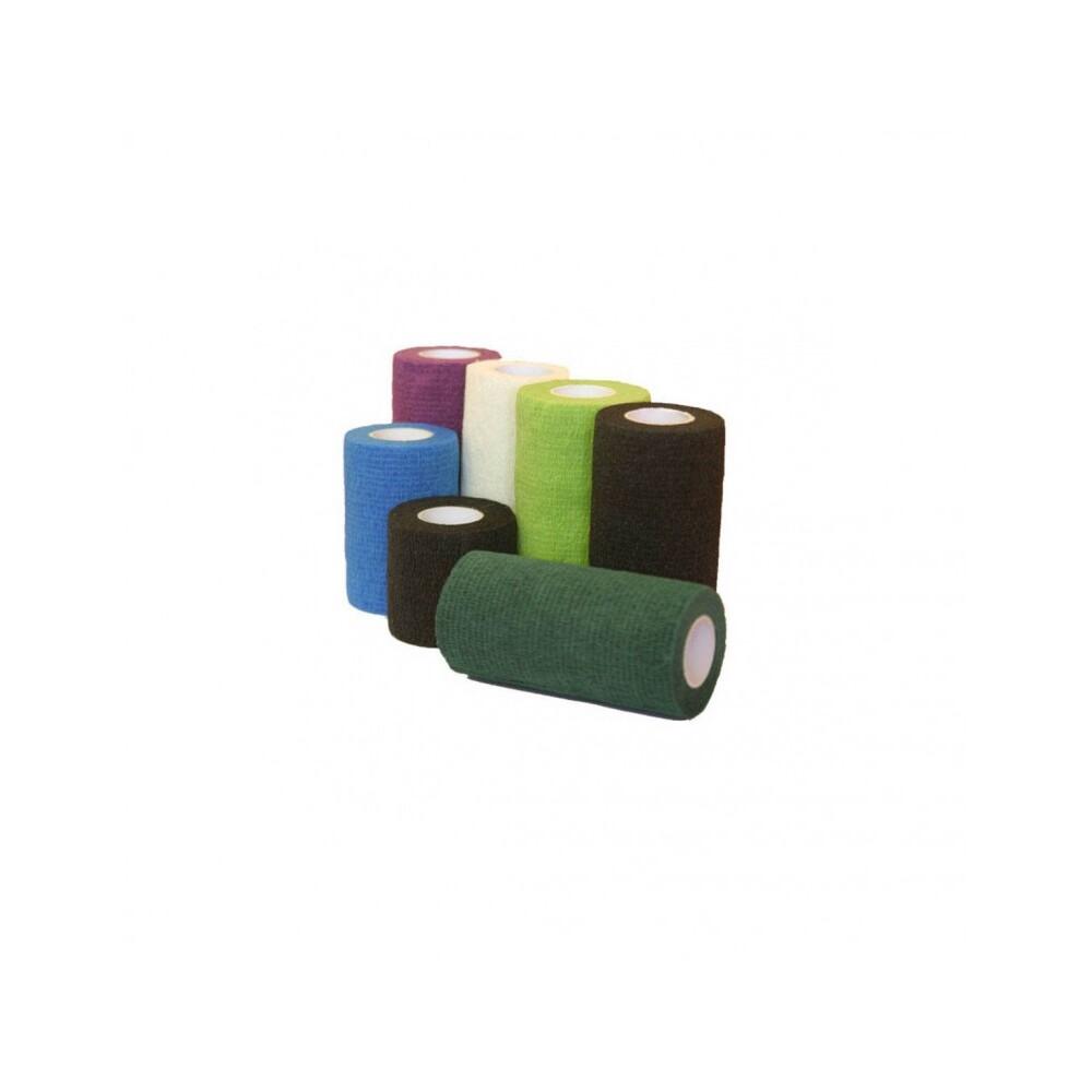 product/h/o/horse-master_9990902015.jpg
