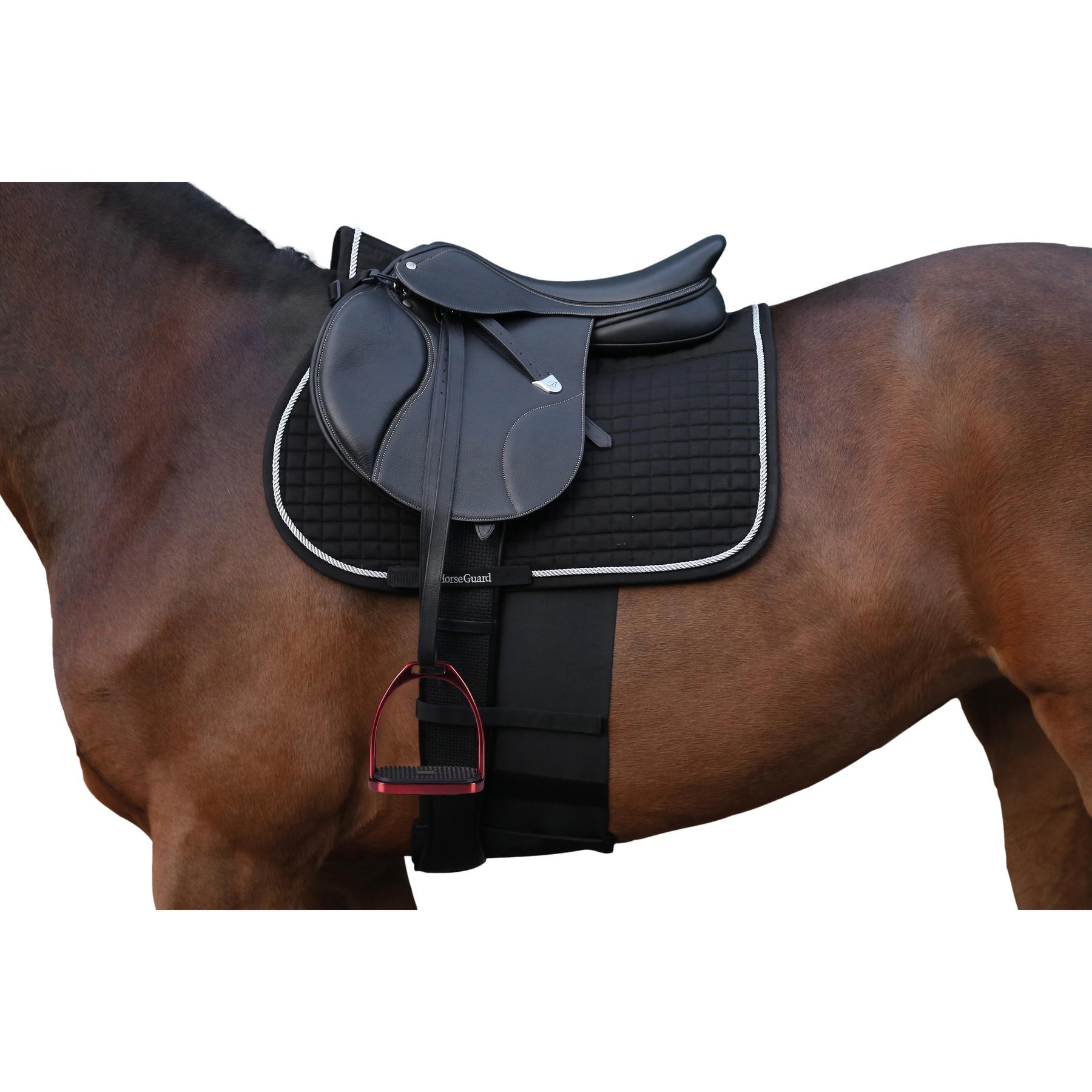 product/h/o/horseguard_23870_2.jpg