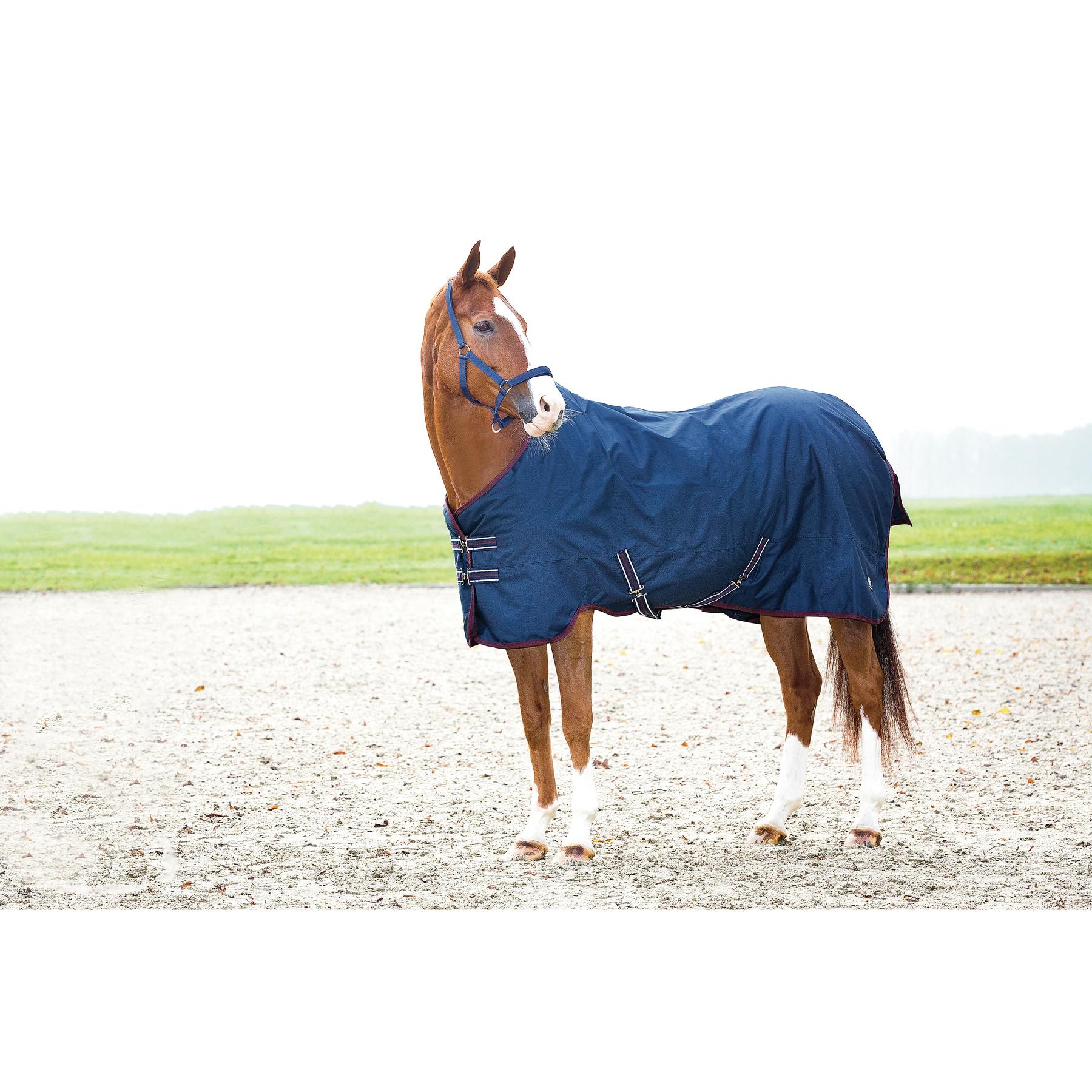 product/h/o/horseguard_27497_2.jpg