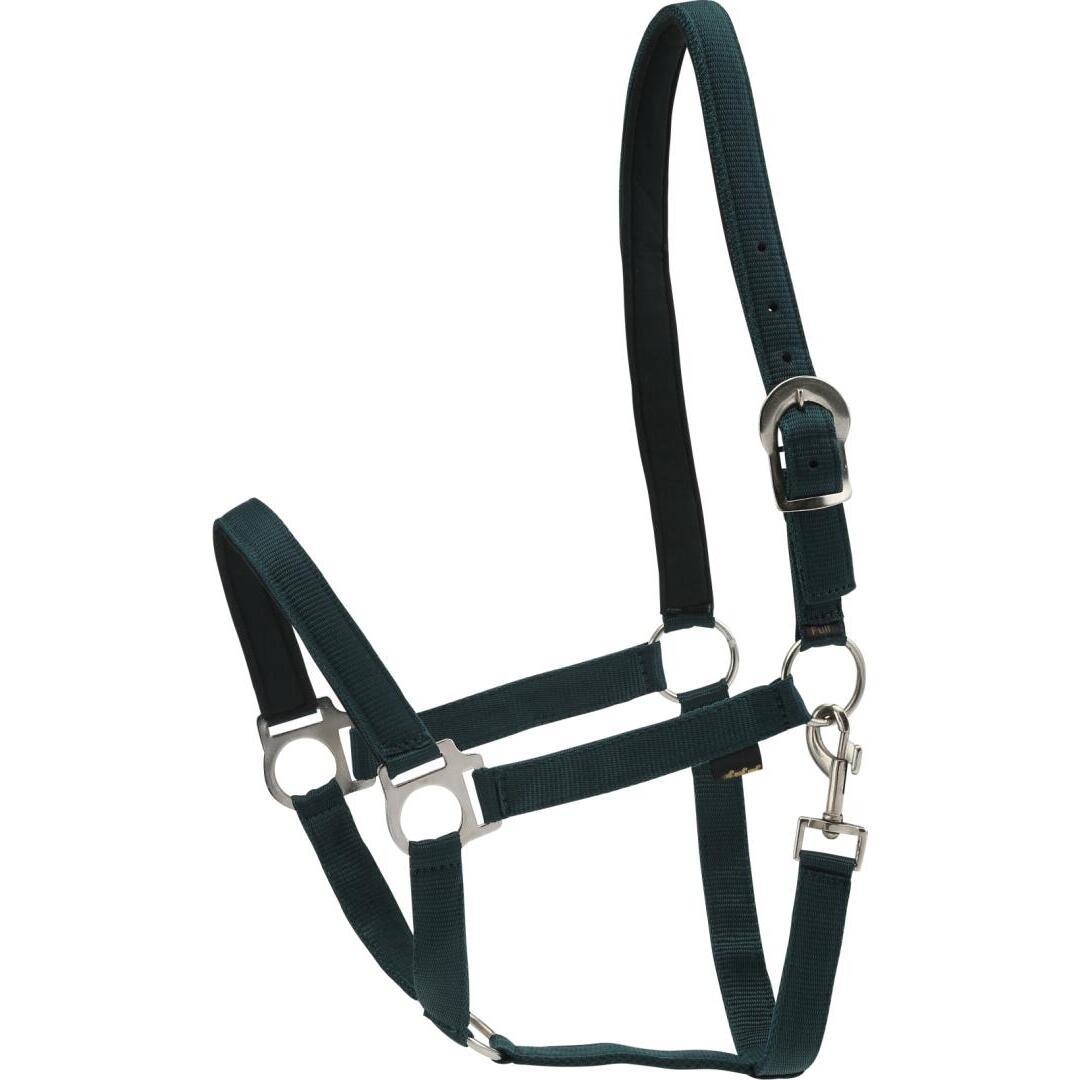 product/h/o/horseguard_36755_green_1.jpg