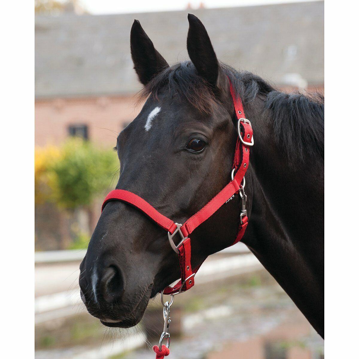 product/h/o/horseguard_41012004_red_1.jpg