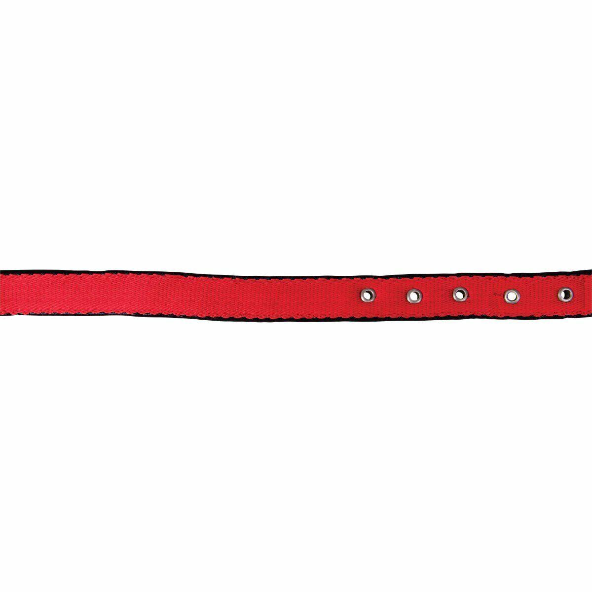 product/h/o/horseguard_41012004_red_2.jpg