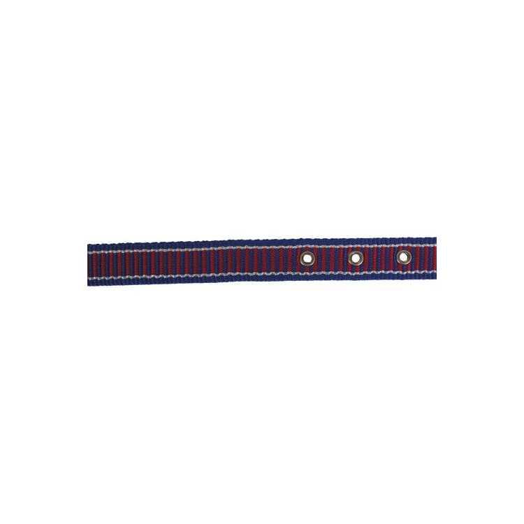 product/h/o/horseguard_41034046_blue_1.jpg