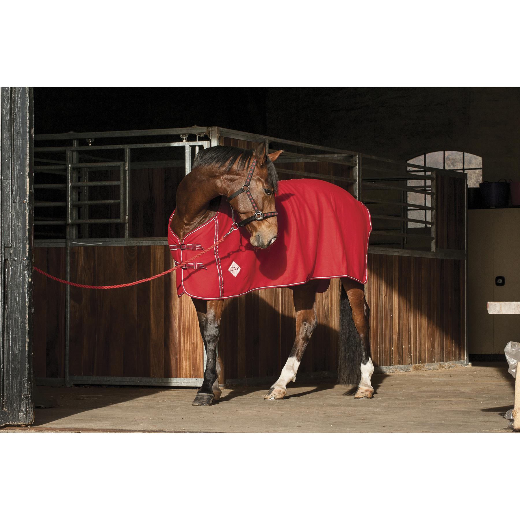 product/h/o/horseguard_492302504_2.jpg