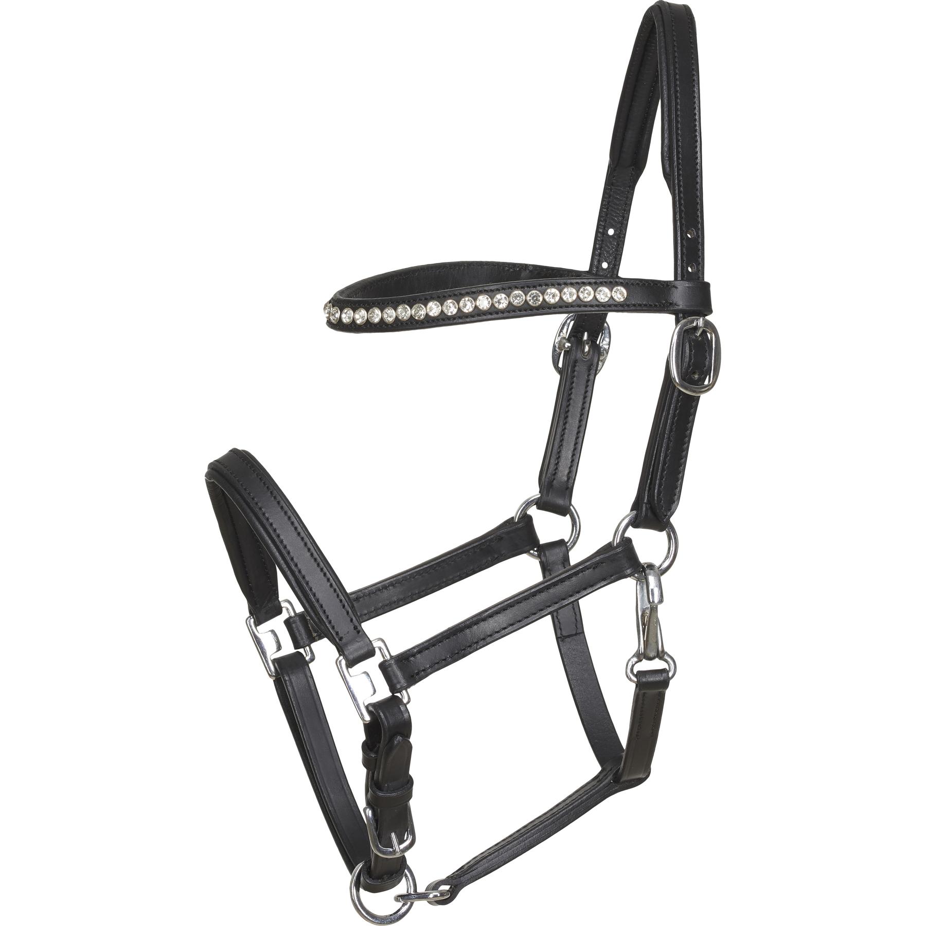 product/h/o/horseguard_500030501.jpg
