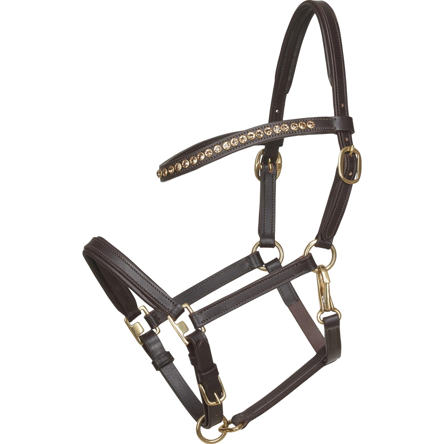 product/h/o/horseguard_500030502.jpg