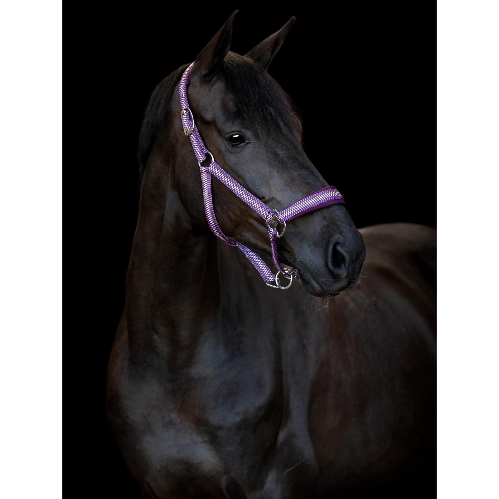 product/h/o/horseguard_50043200107_italian-plum_1.jpg