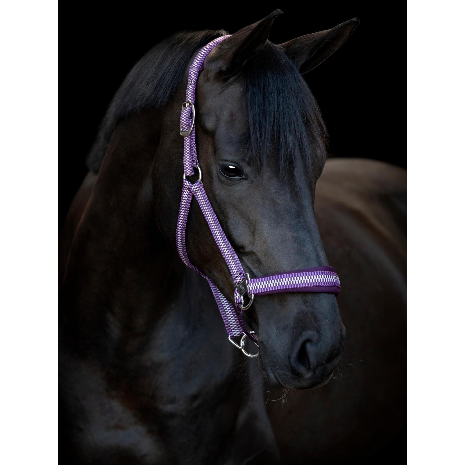 product/h/o/horseguard_50043200107_italian-plum_3.jpg