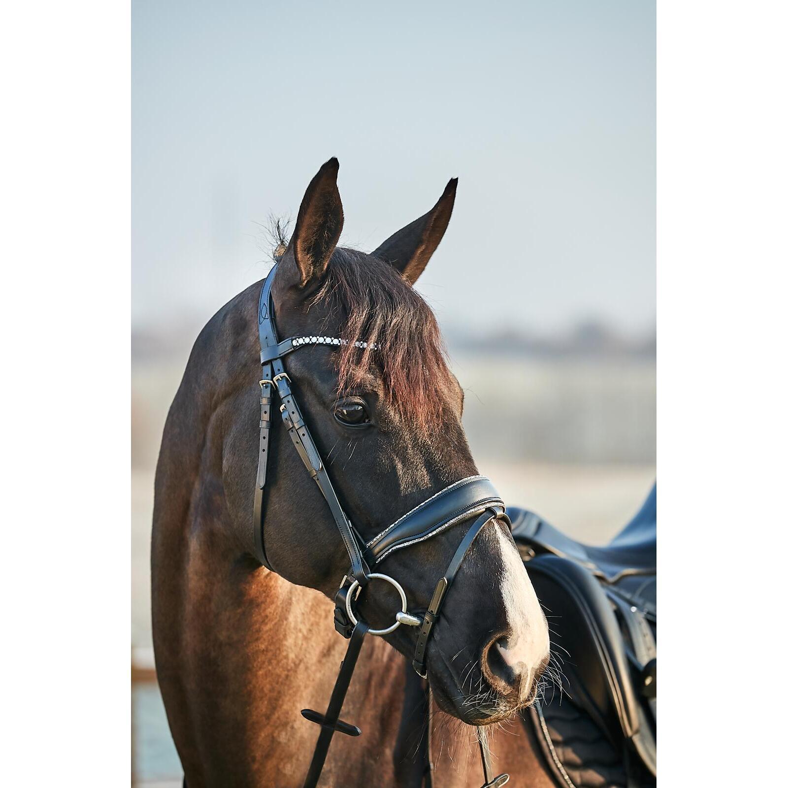 product/h/o/horseguard_504023002_brown_4.jpg