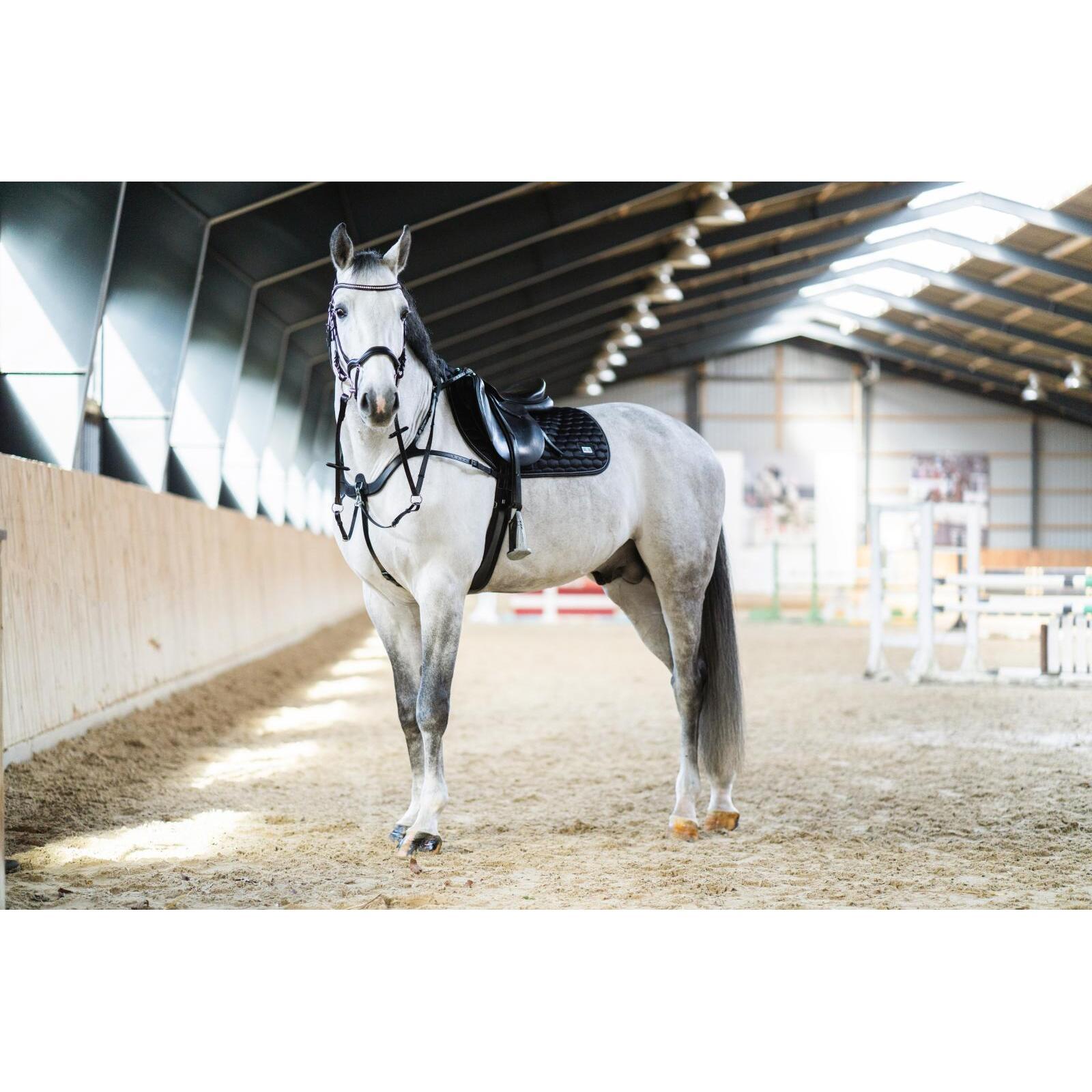 product/h/o/horseguard_504034001_black_2.jpg