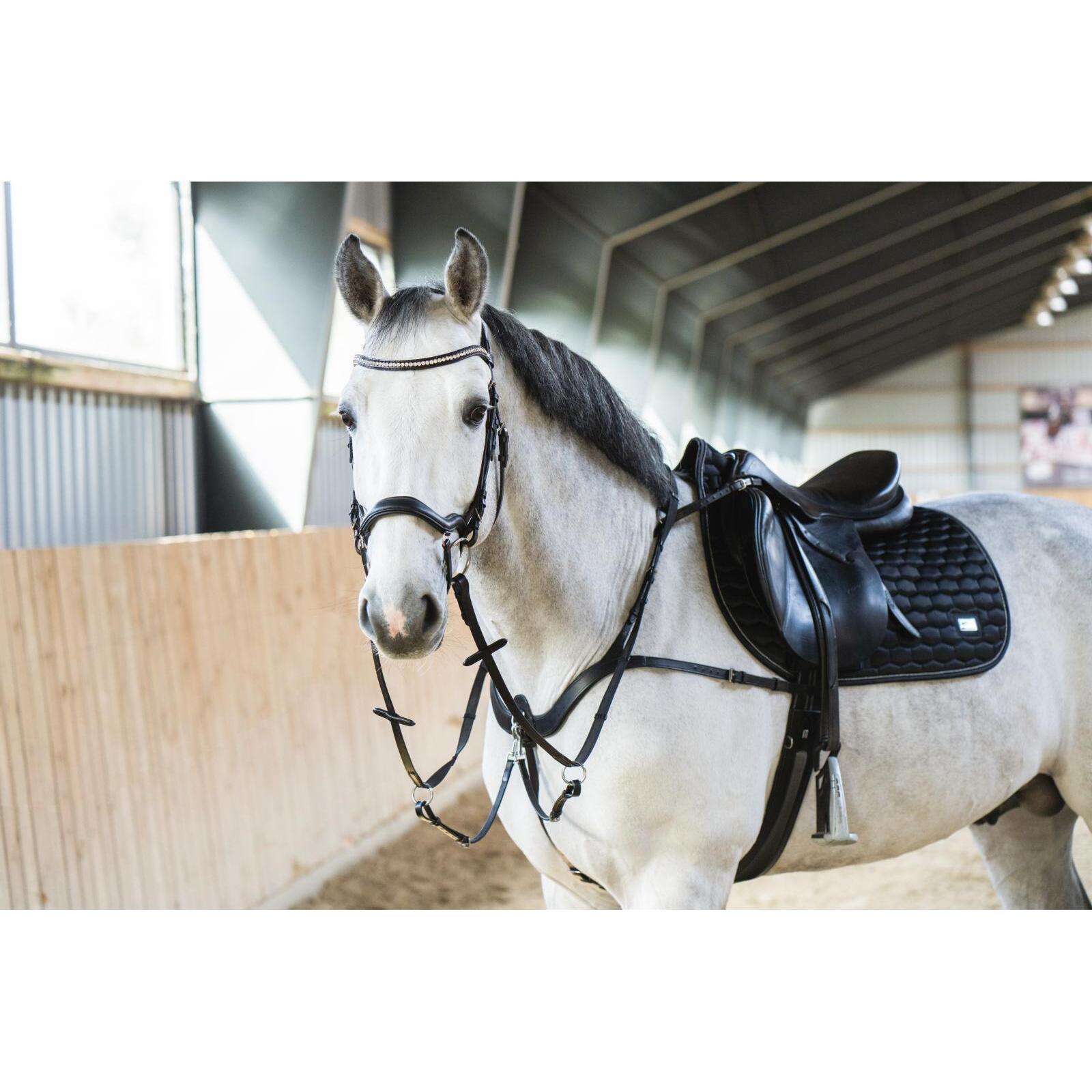 product/h/o/horseguard_504034001_black_5.jpg