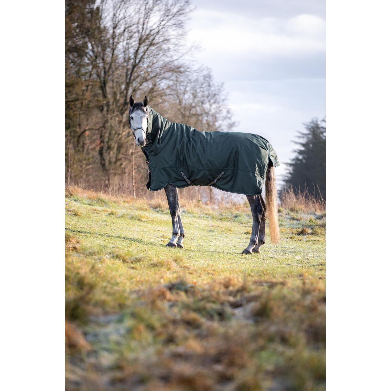 product/h/o/horseguard_504246597_darkest-spruce_2.jpg