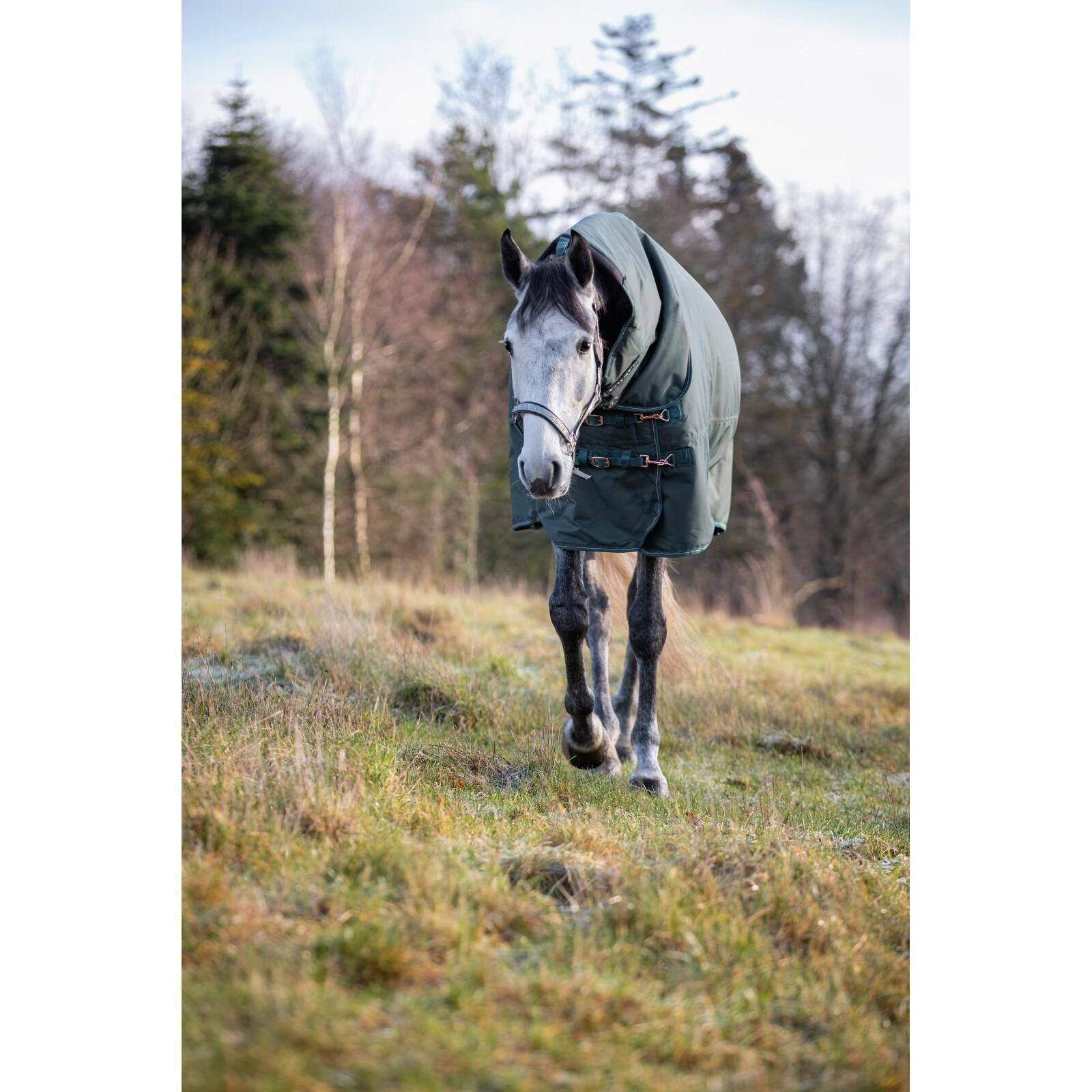 product/h/o/horseguard_504246597_darkest-spruce_5.jpg