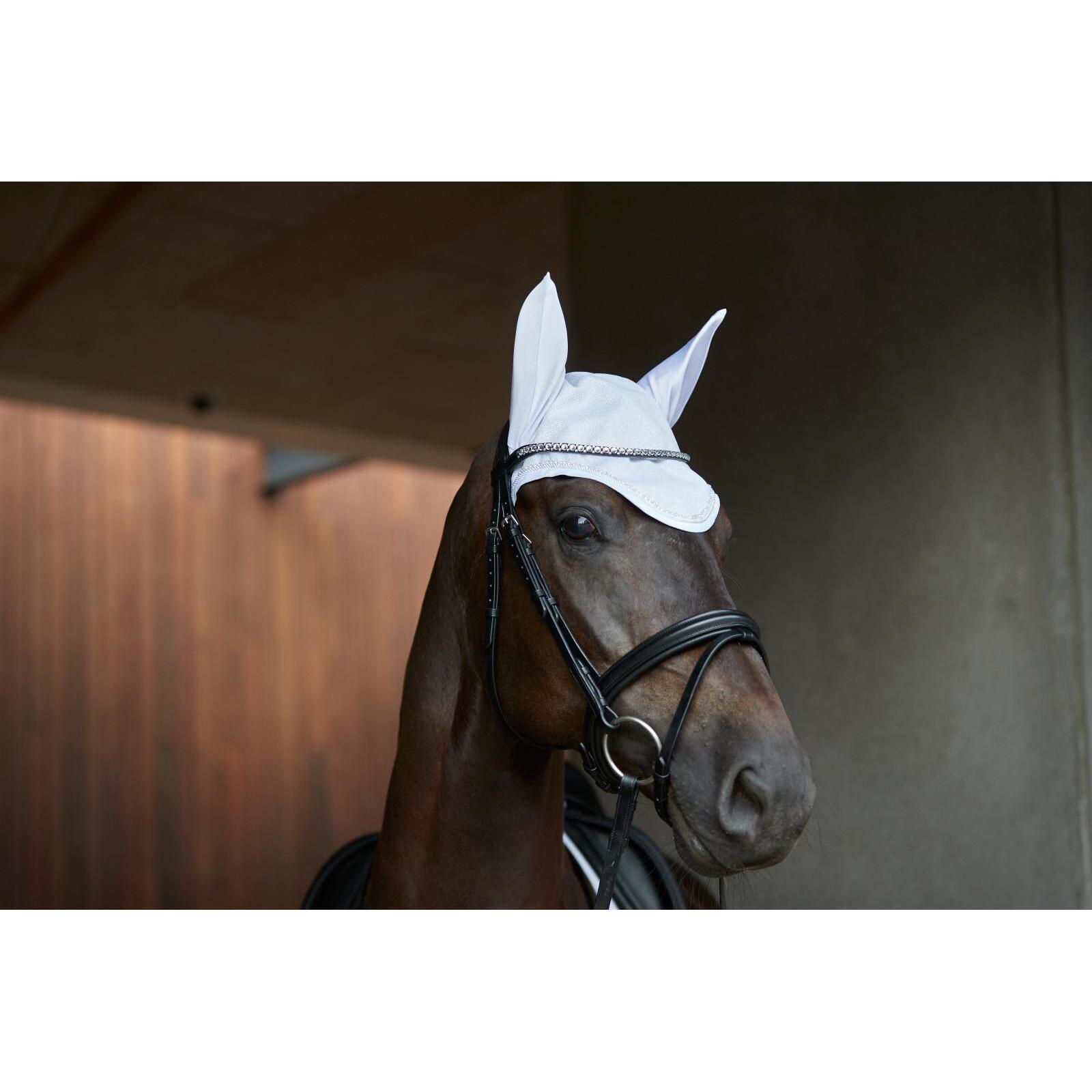product/h/o/horseguard_504853008_hvid_2.jpg