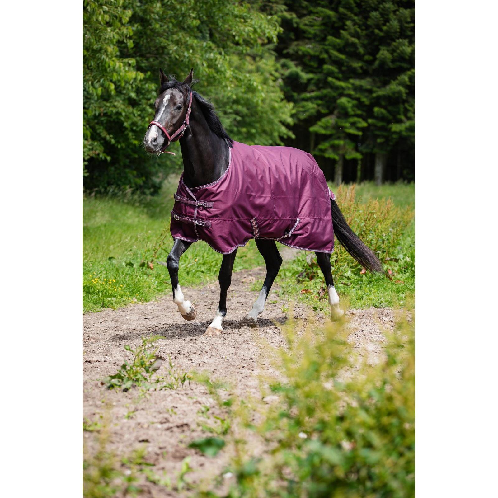 product/h/o/horseguard_50490050107_italian-plum_1.jpg