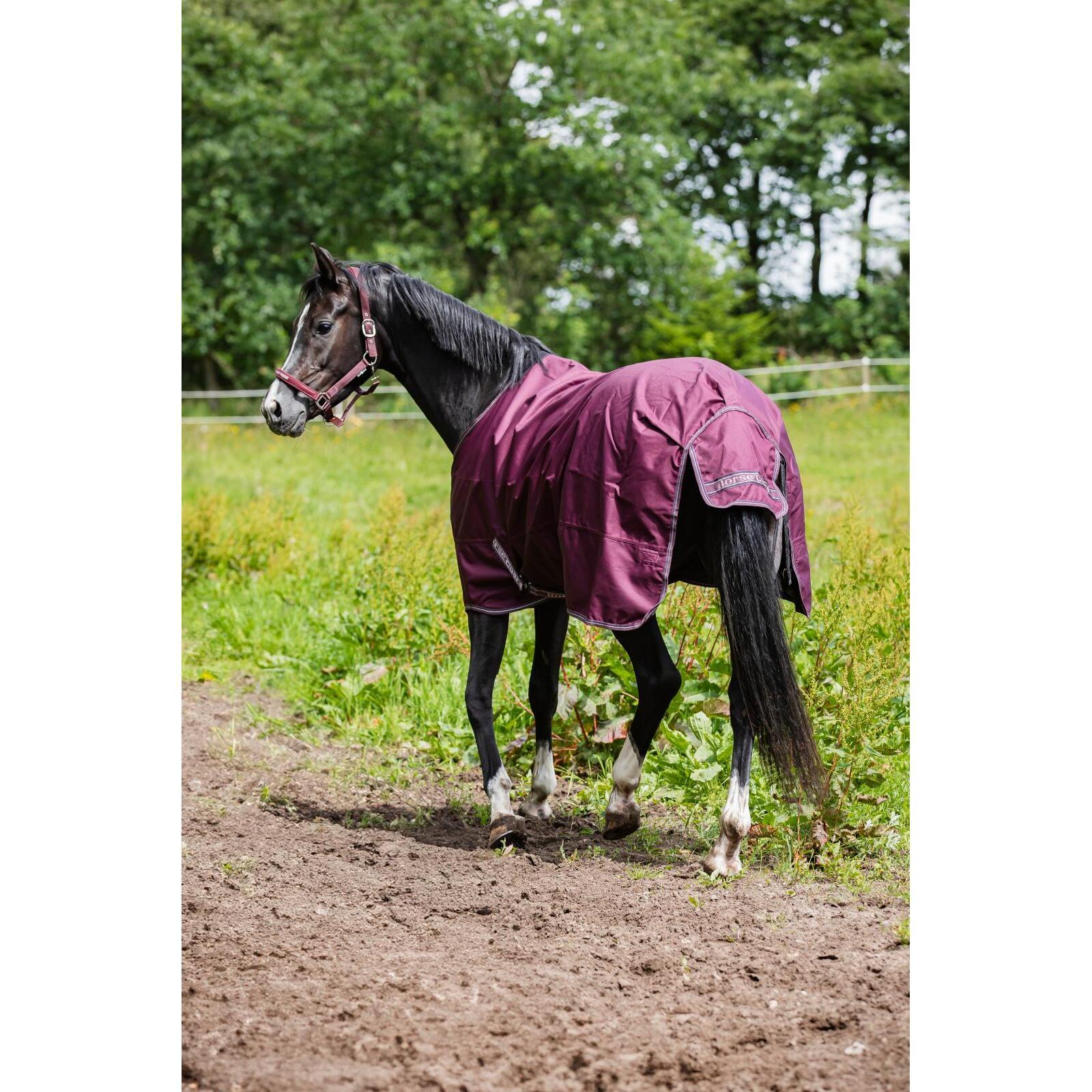 product/h/o/horseguard_50490050107_italian-plum_2.jpg
