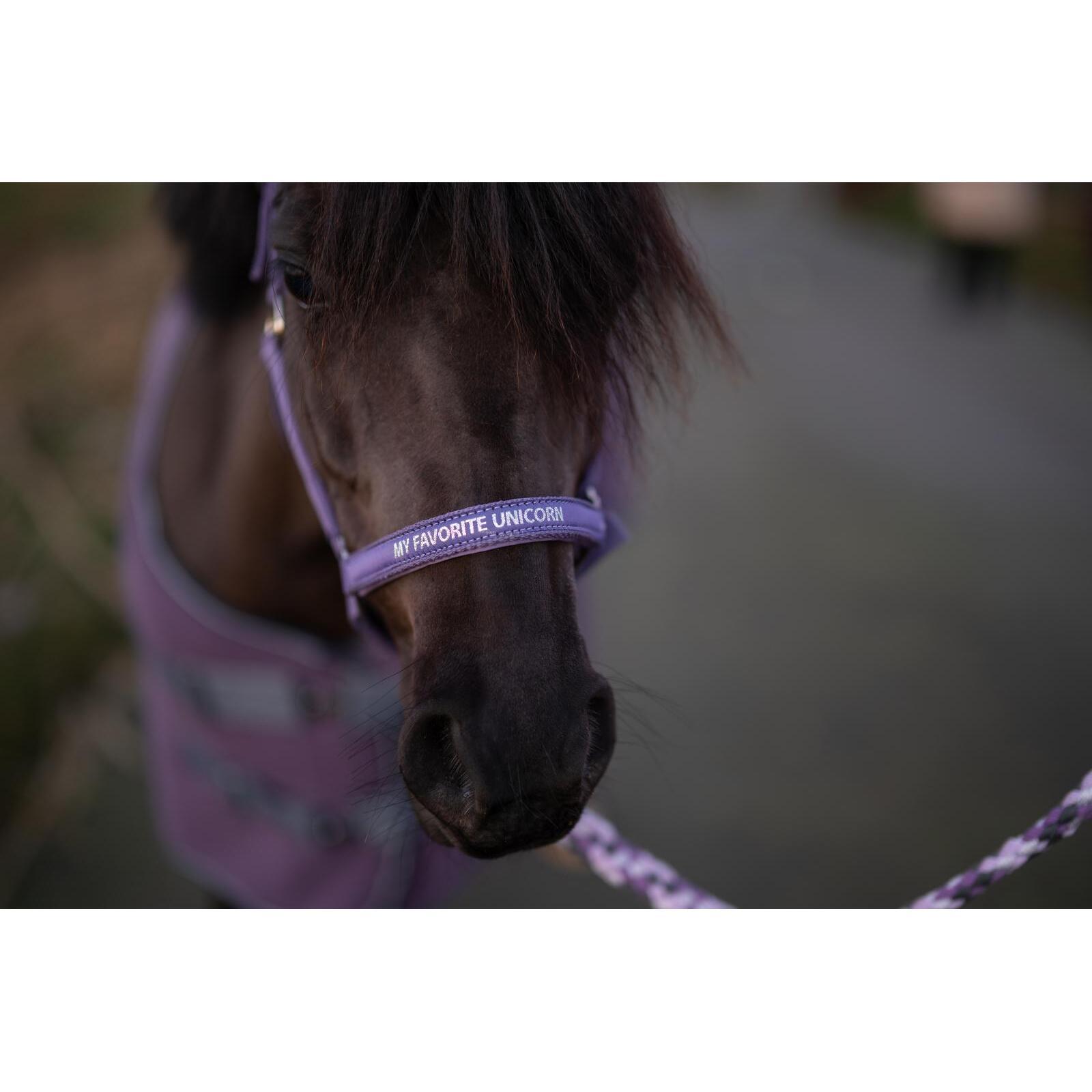 product/h/o/horseguard_50499011837_montana-grape_2.jpg