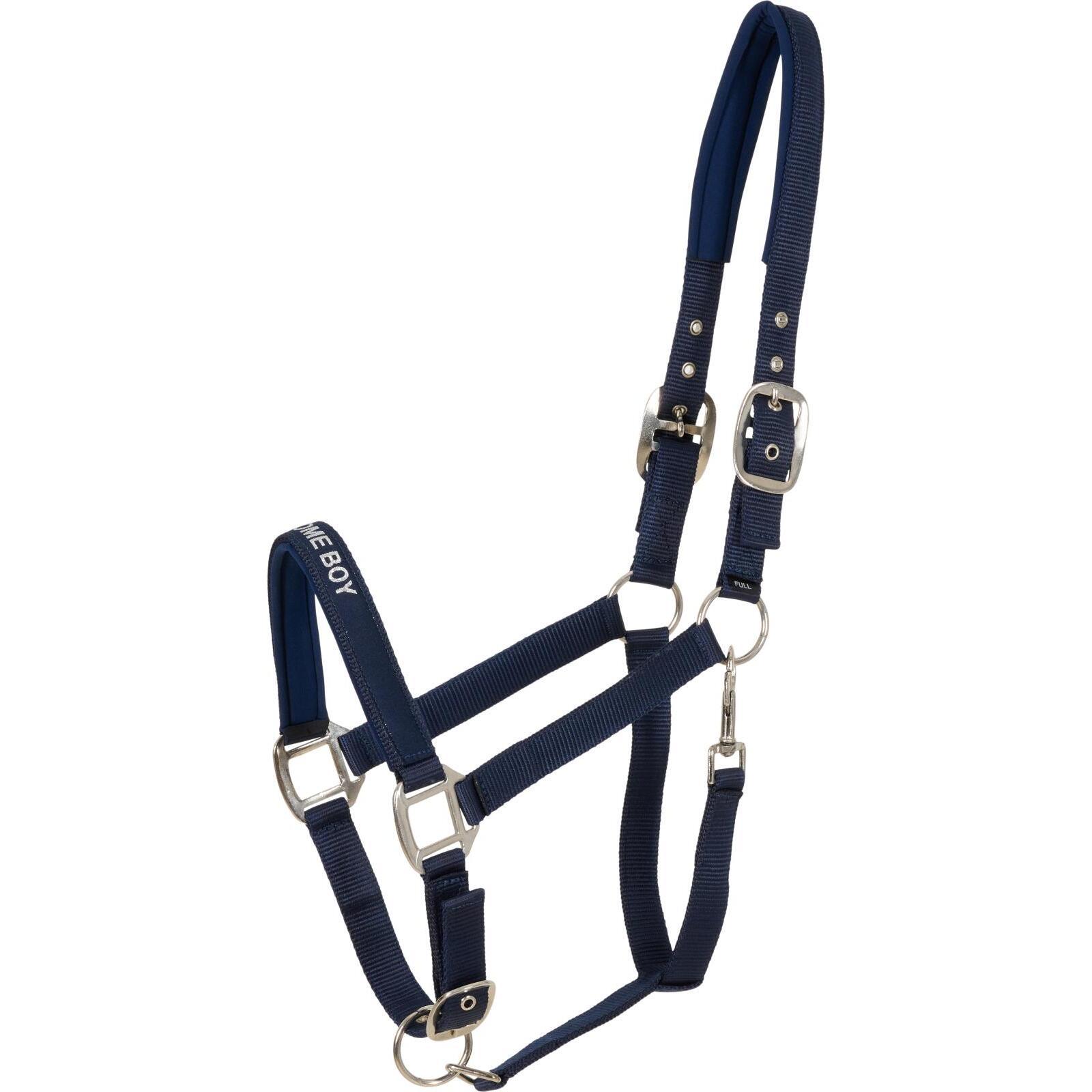 product/h/o/horseguard_504995014_blue_1.jpg