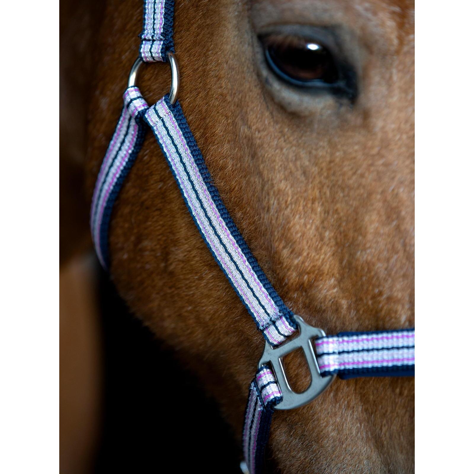 product/h/o/horseguard_50513010102_phlox-pink_2.jpg
