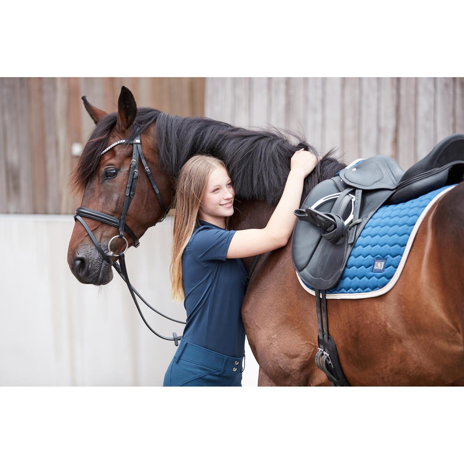 product/h/o/horseguard_505200201_sort_7.jpg