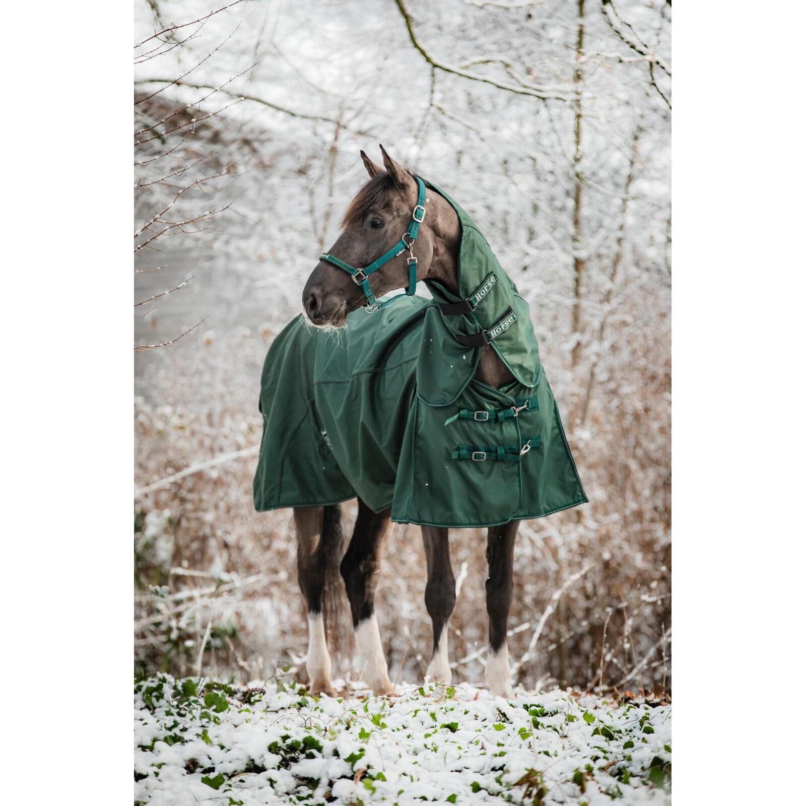 product/h/o/horseguard_505251597_darkest-spruce_2.jpg