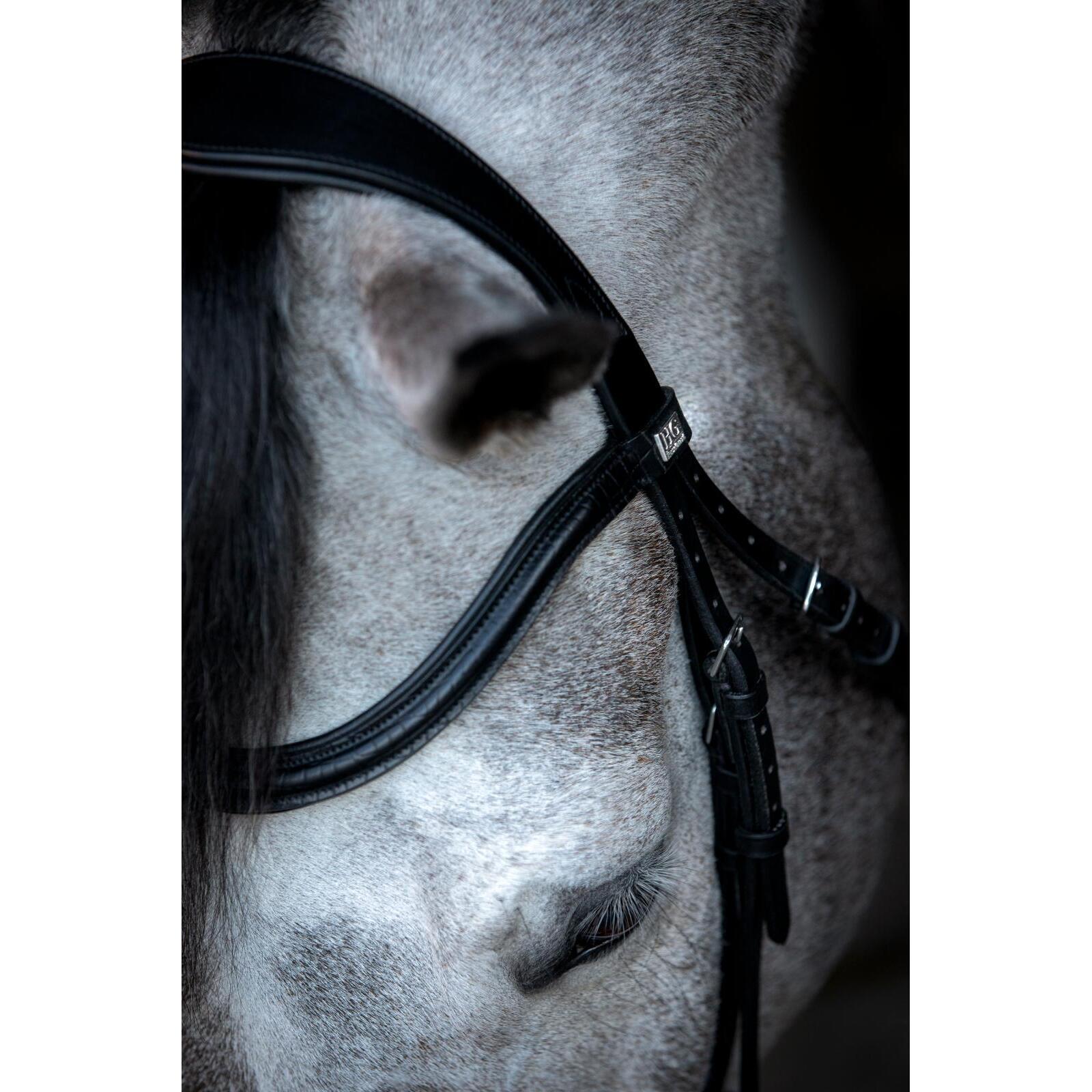product/h/o/horseguard_505500201_black_3.jpg
