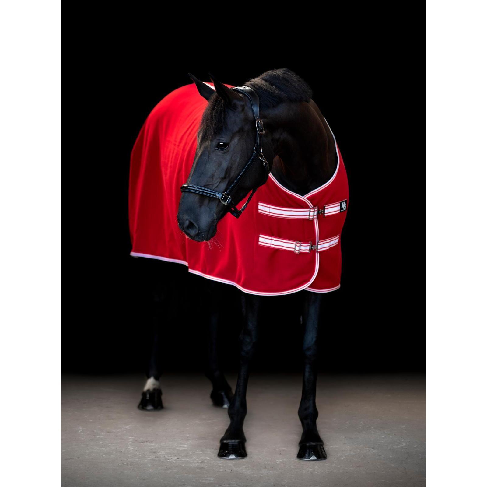product/h/o/horseguard_505601504_red_3.jpg