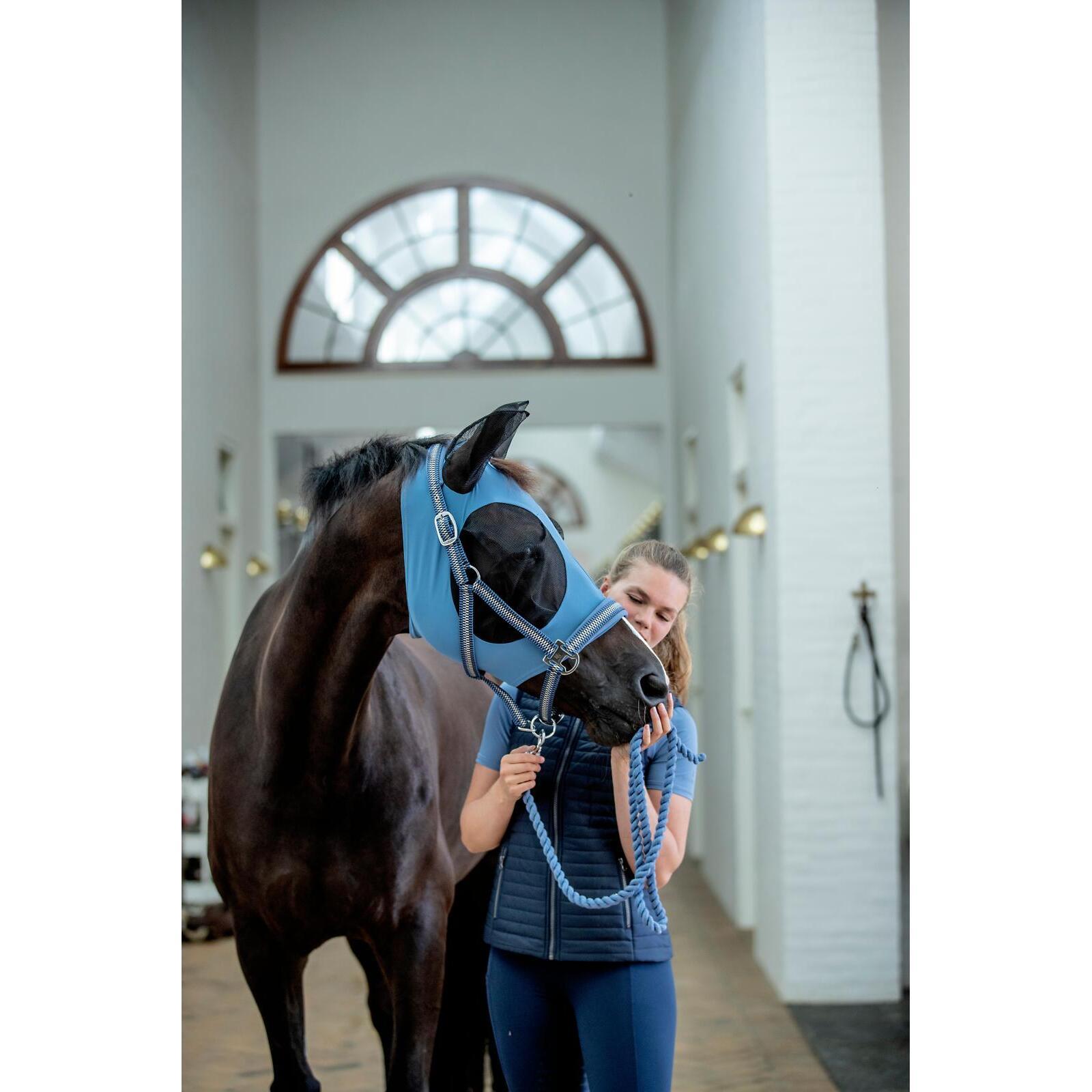 product/h/o/horseguard_50576200110_coronet-blue_2.jpg