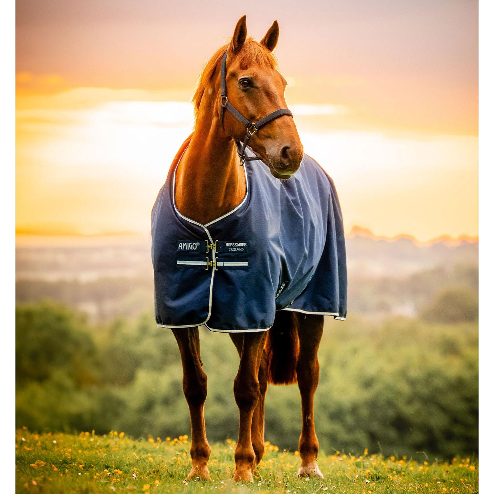product/h/o/horseware_aarag0-vrkb-66_witney-navy_1.jpg