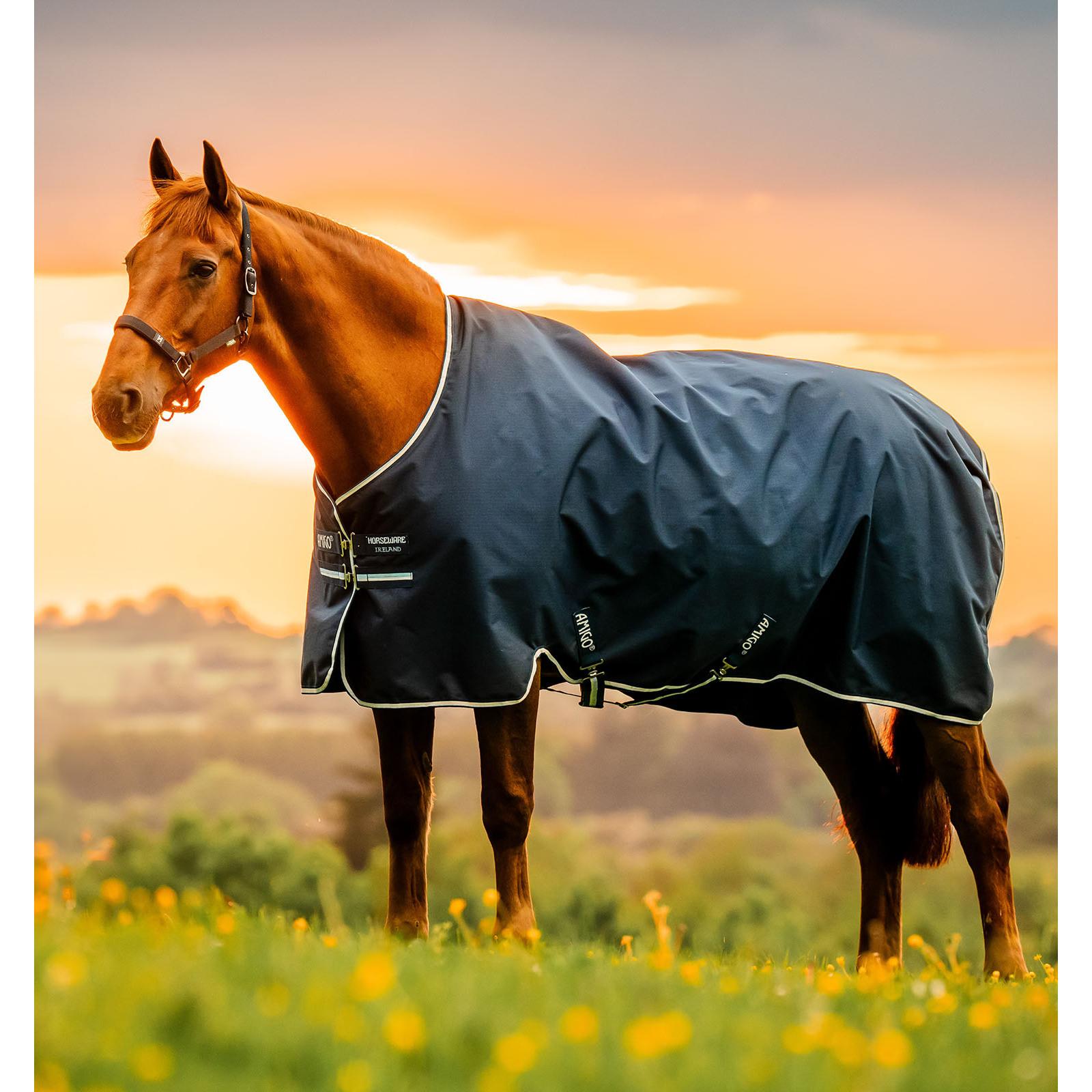 product/h/o/horseware_aarbg2-vrkb-45_witney-navy_1.jpg