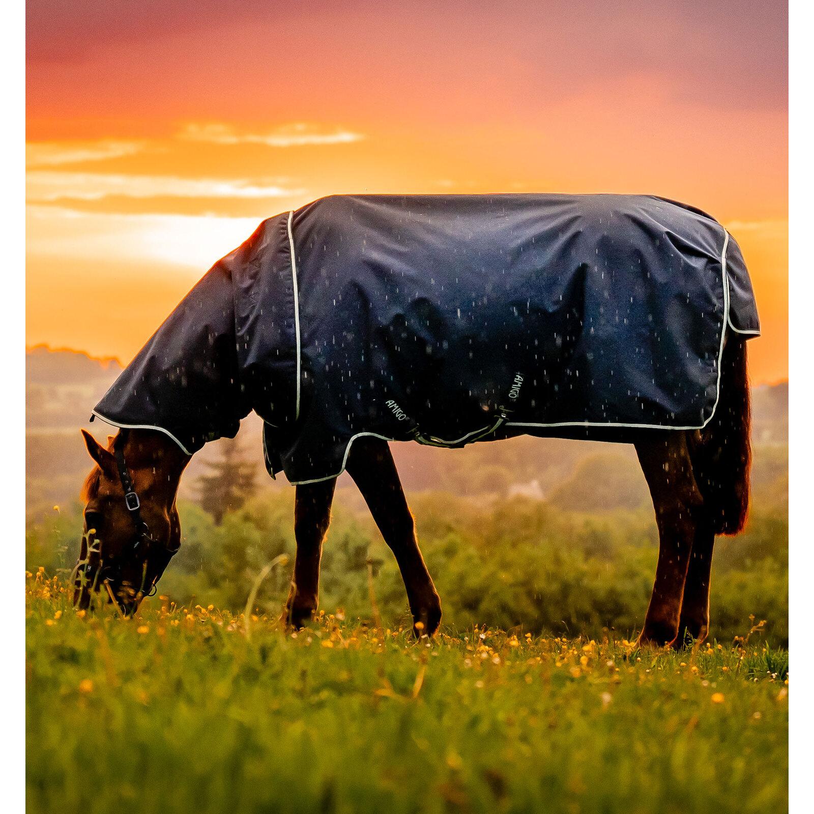 product/h/o/horseware_aarqg2-vrkb-45_witney-navy_1.jpg