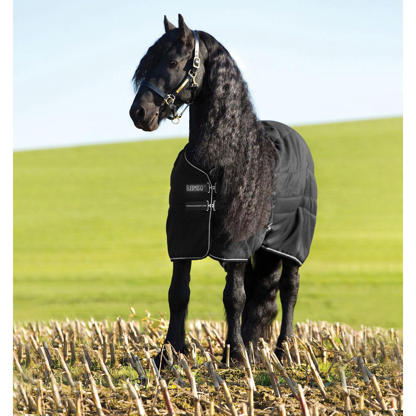 product/h/o/horseware_abaaa2-kki0.jpg