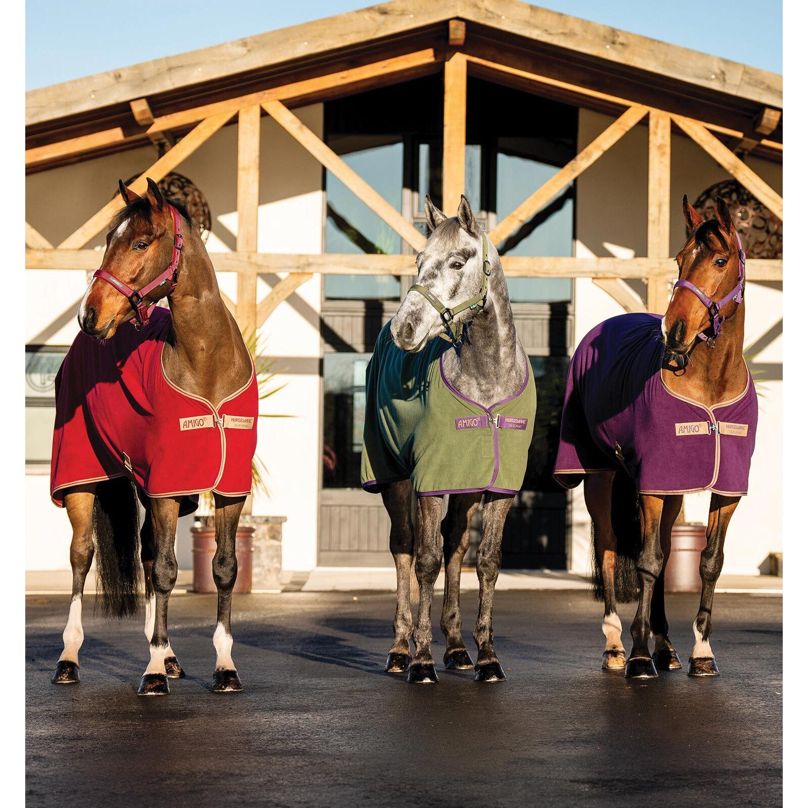 product/h/o/horseware_acrfb0-gpm0-66_bramble-winterberry-taupe_2.jpg