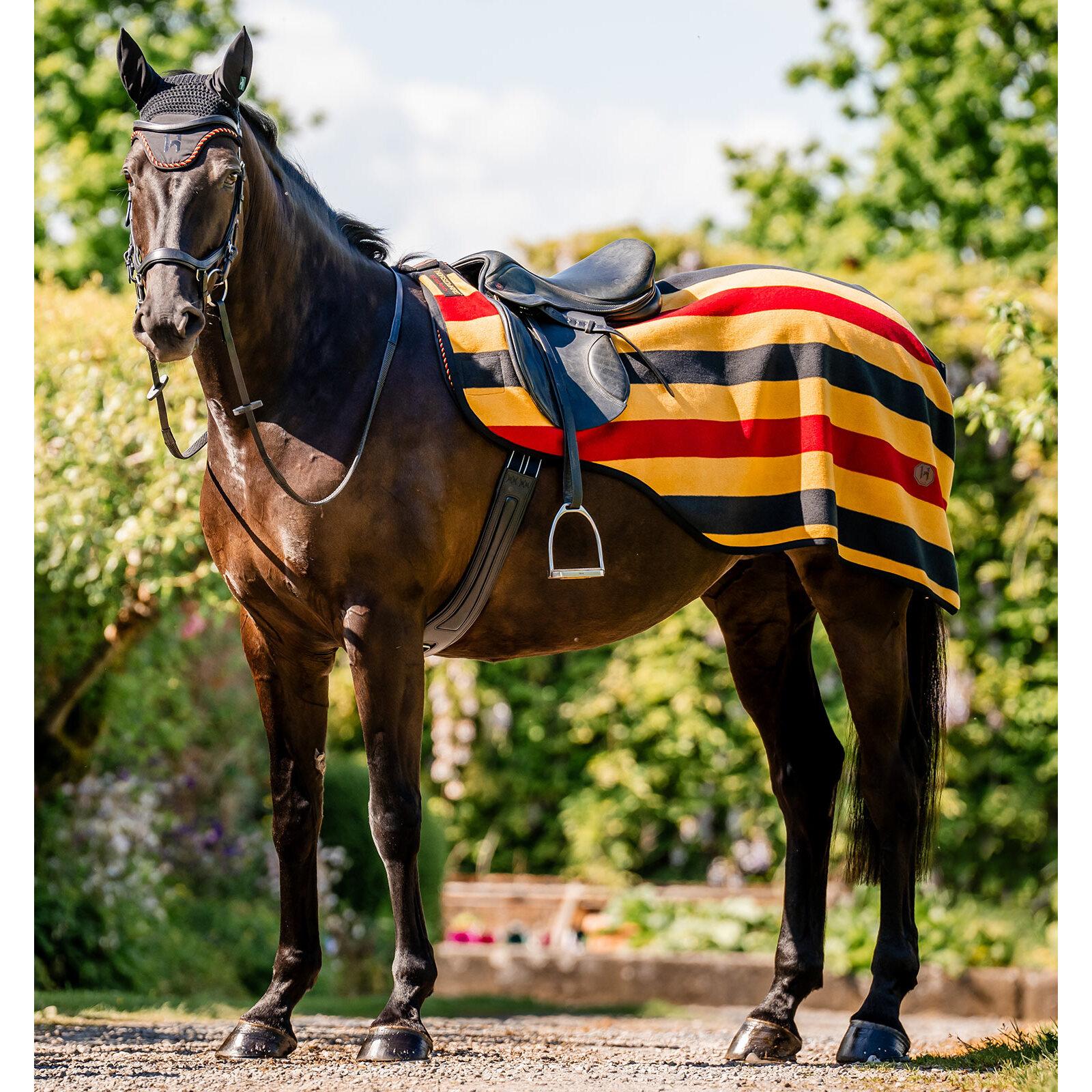 product/h/o/horseware_aehrrn-vrk0-la_witney-gold_3.jpg