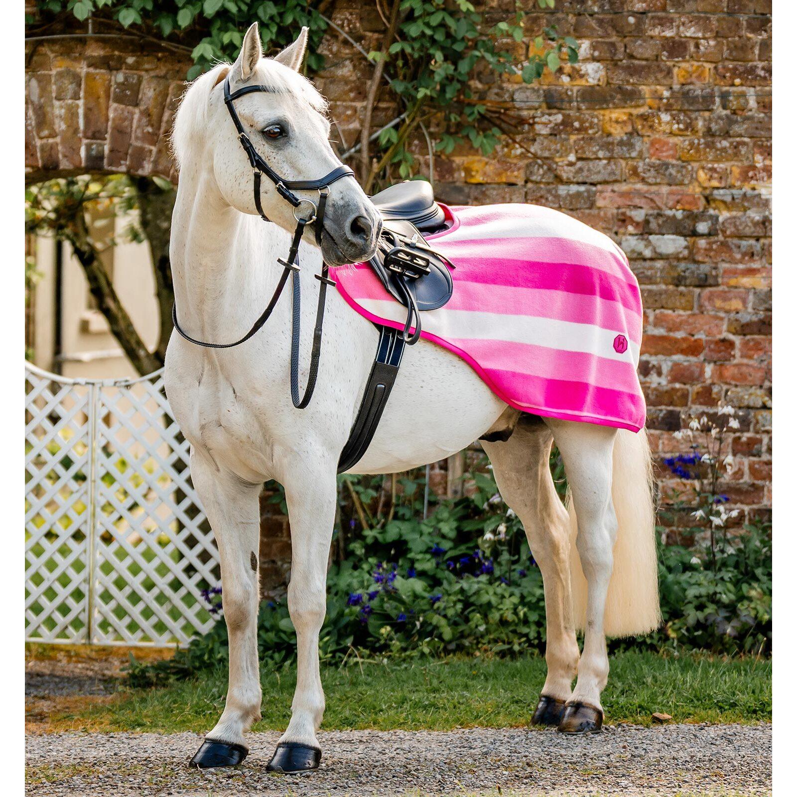 product/h/o/horseware_aehrrn-vrkz-la_witney-pink_1.jpg