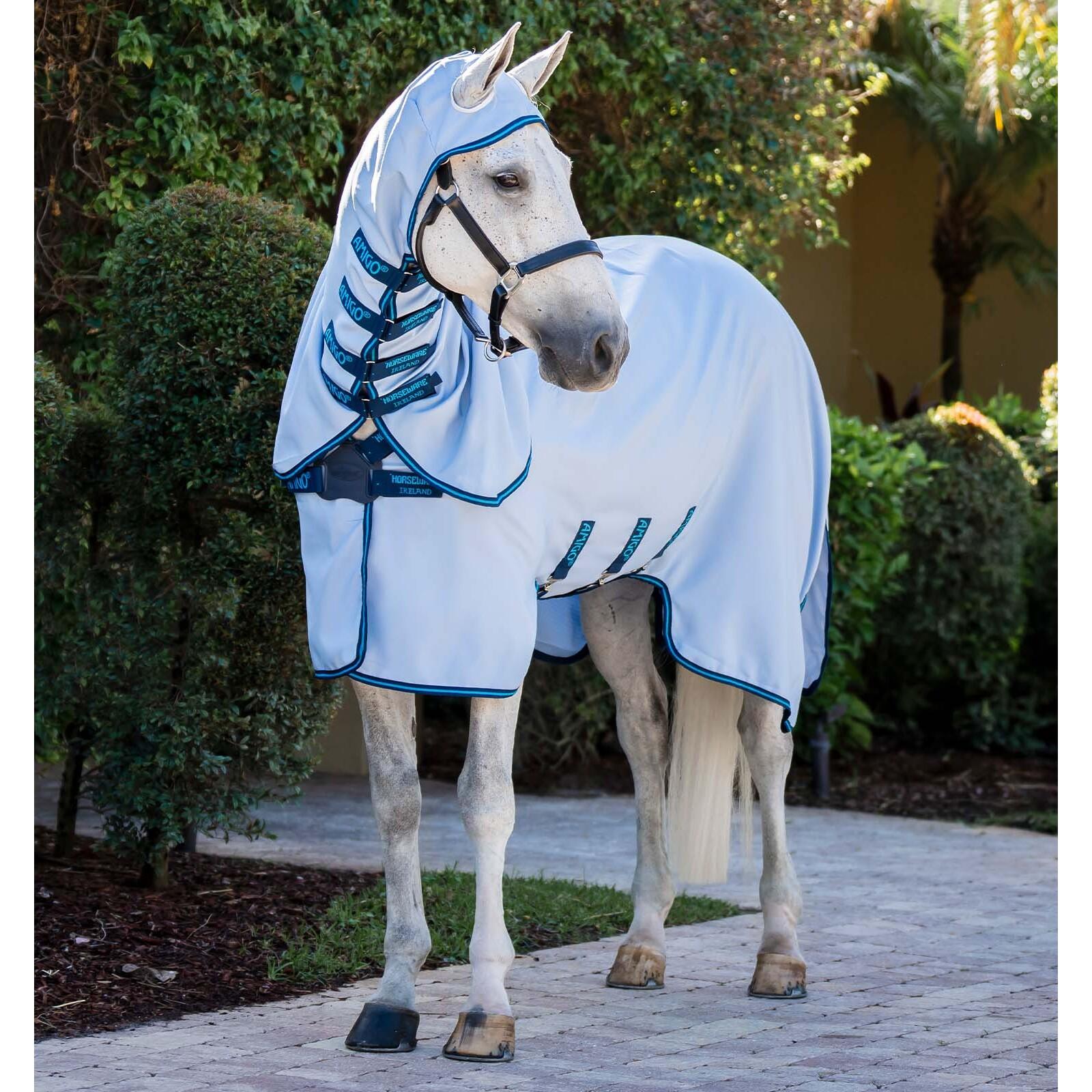 product/h/o/horseware_afrcm0-cbe0-66_azure-blue-navy-electric-blue_1.jpg