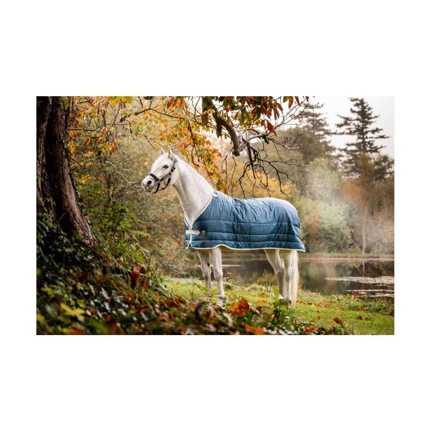 product/h/o/horseware_ahhek1-c5tj-66_teal-print_1.jpg