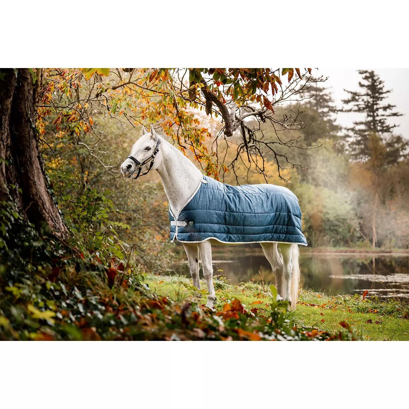 product/h/o/horseware_ahhek2-c5tj-66_teal-print_1.jpg