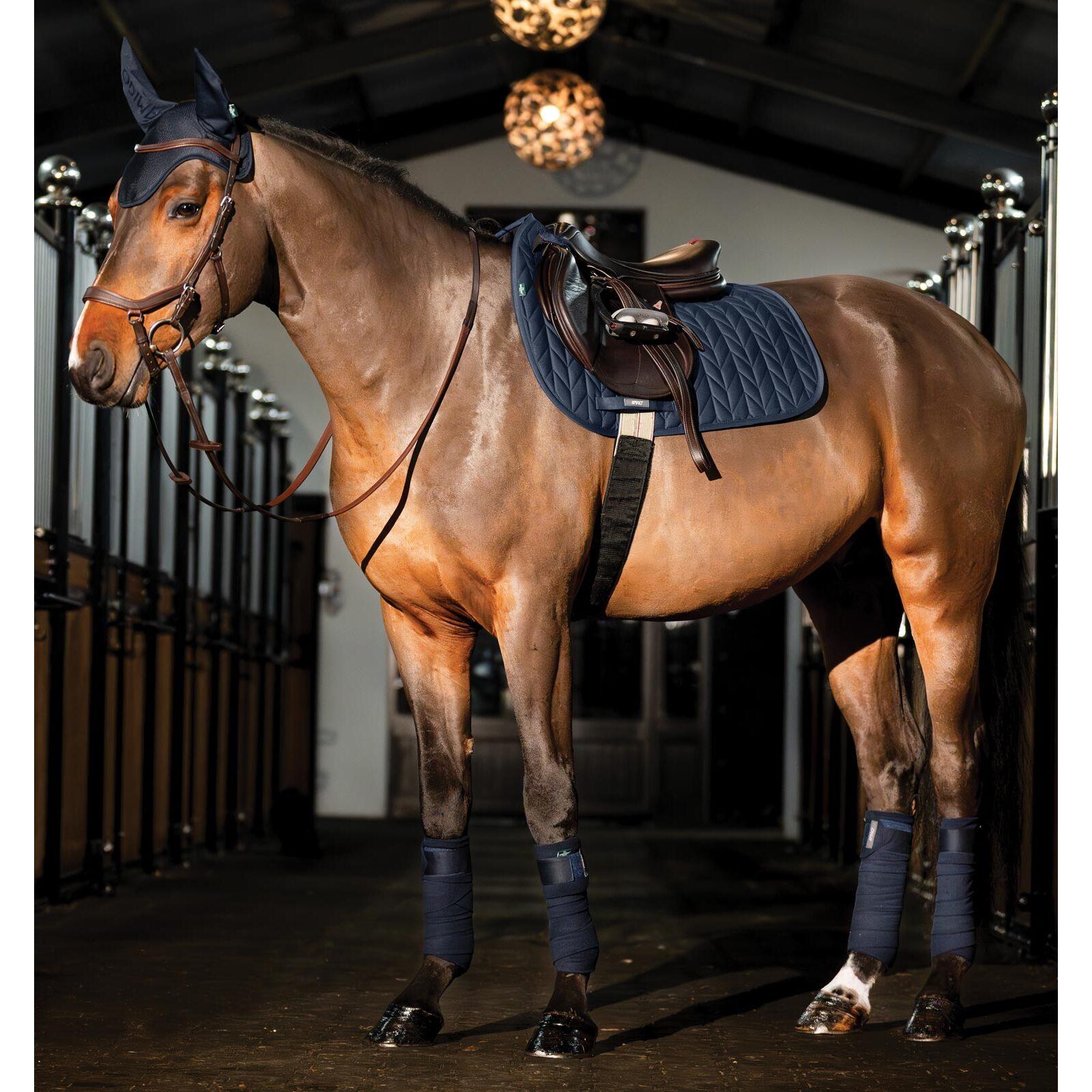 product/h/o/horseware_dera01-b000-ch_navy_2.jpg
