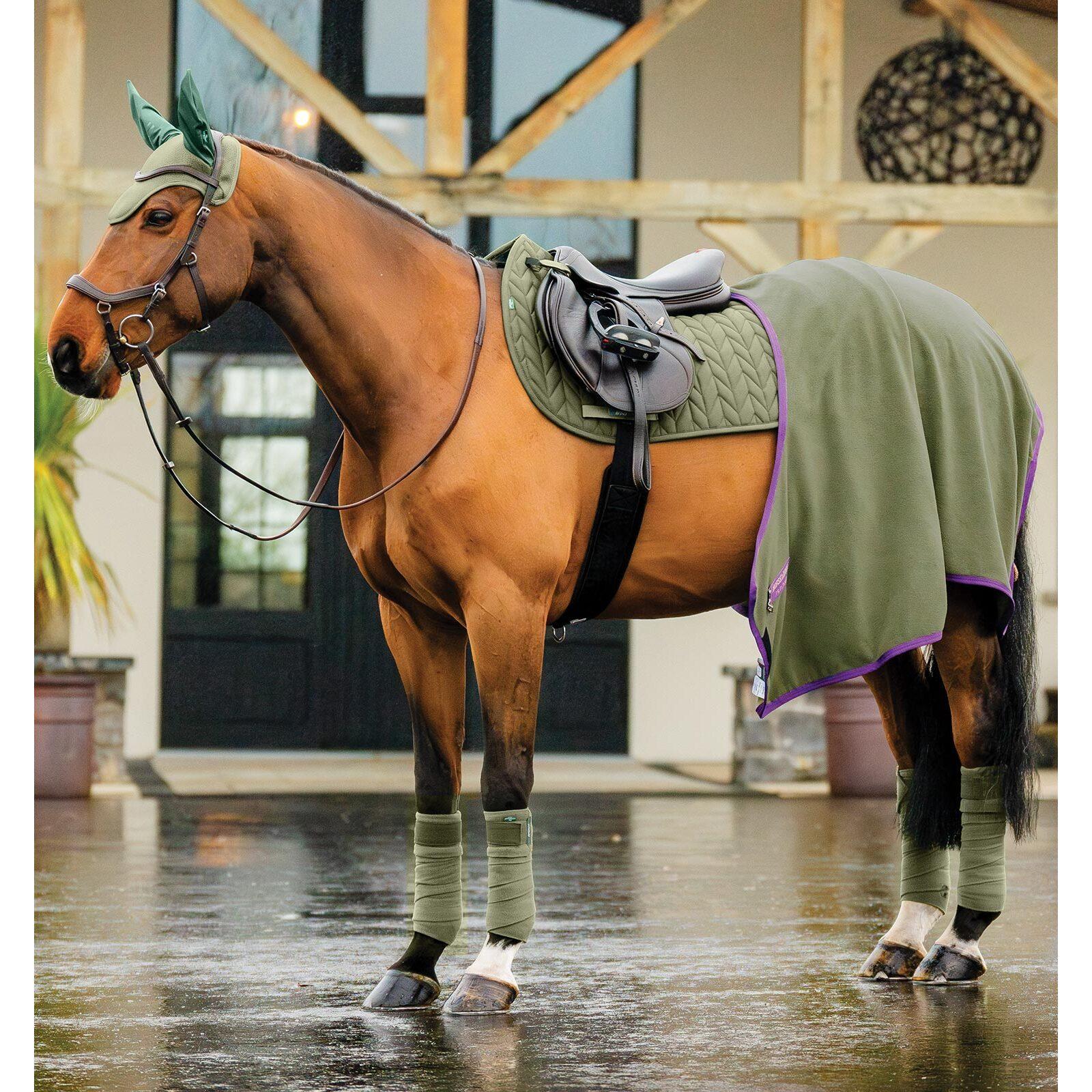 product/h/o/horseware_dera01-ggg0-ch_bramble_3.jpg