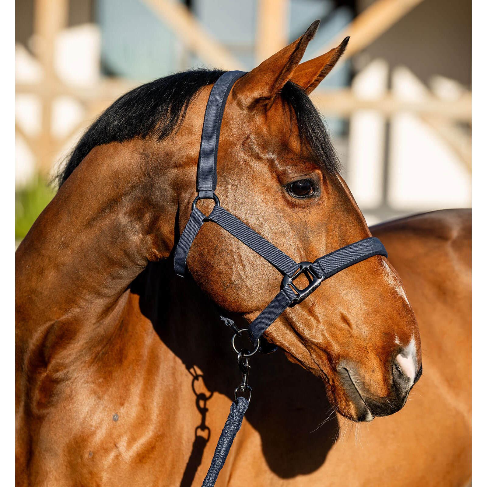 product/h/o/horseware_dhrx01-b000-co_navy_1.jpg