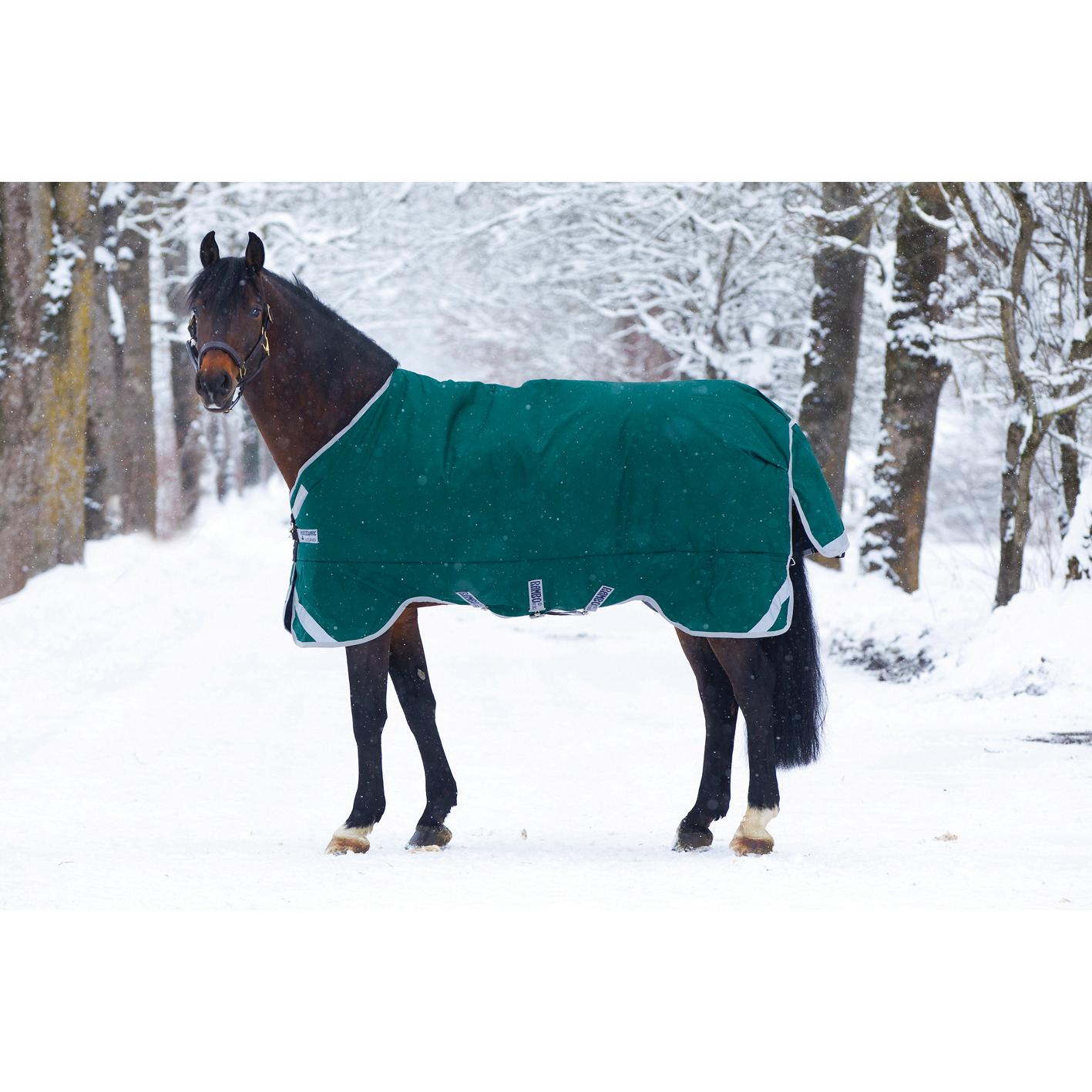 product/h/o/horseware_hwaaaa08gr_mag3839027_1.jpg