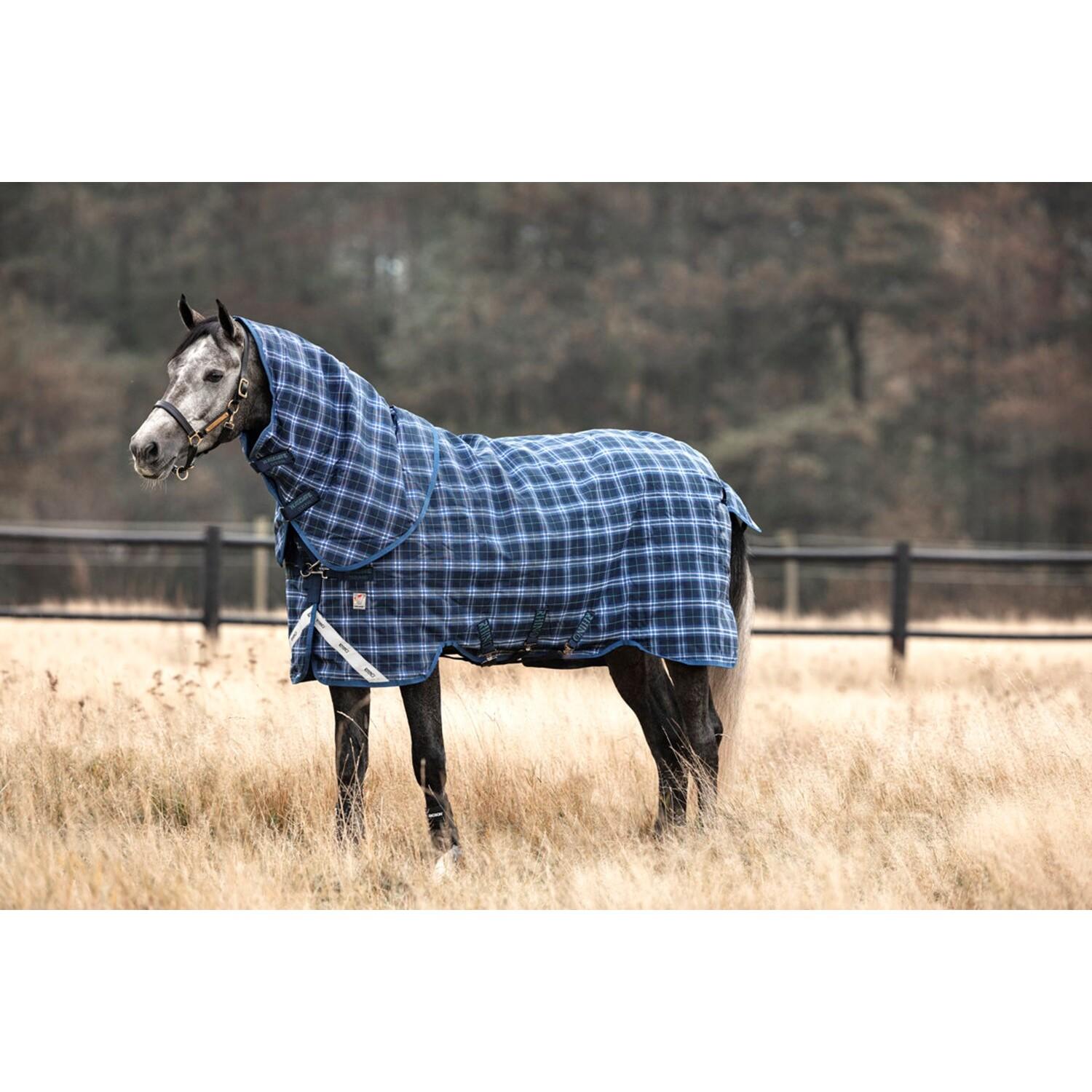 product/h/o/horseware_hwaabpv4nain56.jpg