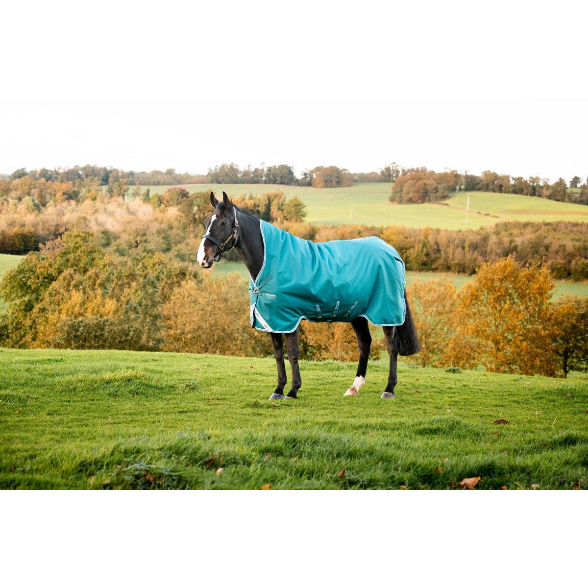product/h/o/horseware_hwaarw72graq56_green-aqua_1.jpg