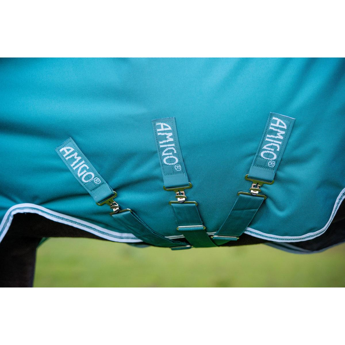 product/h/o/horseware_hwaarw72graq56_green-aqua_5.jpg