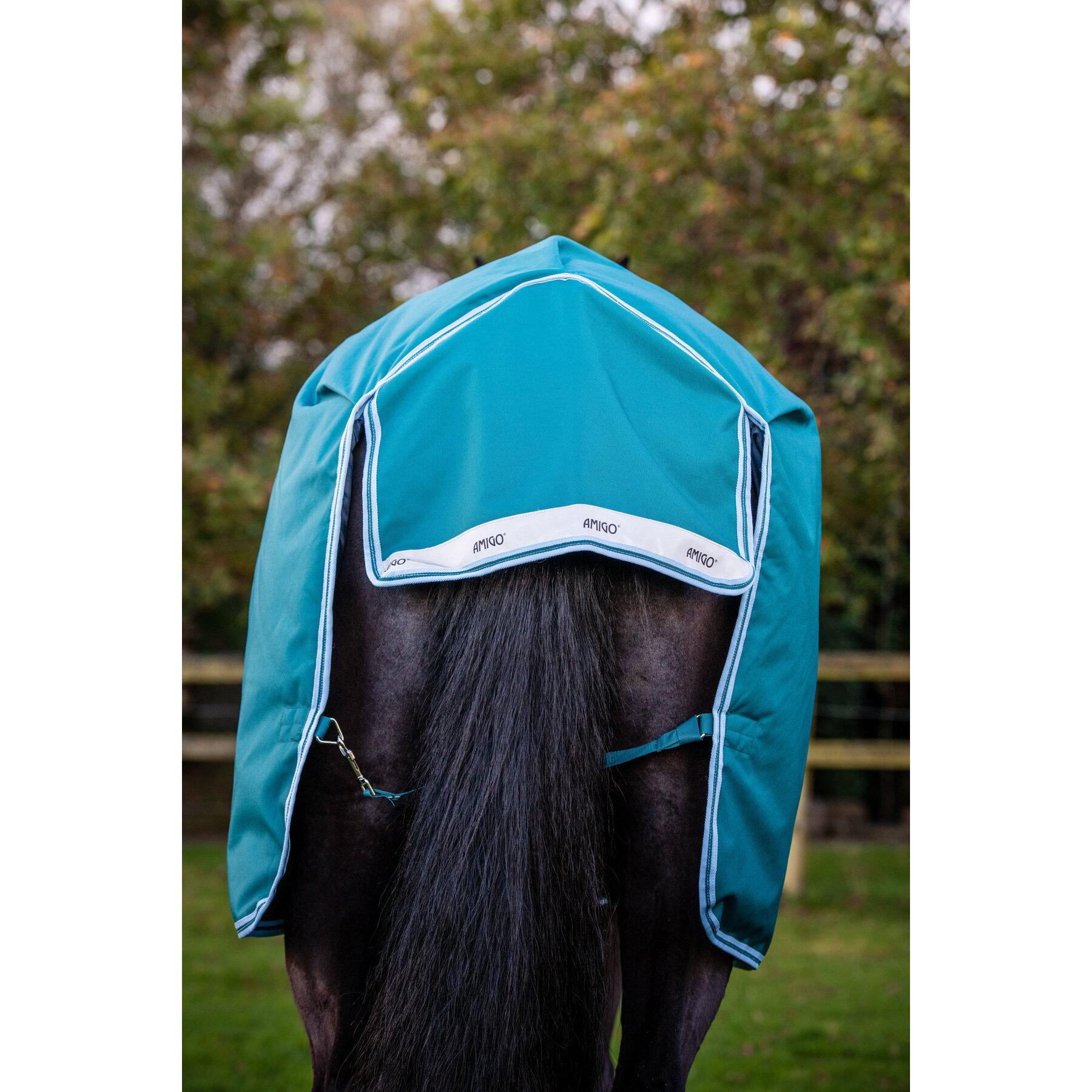 product/h/o/horseware_hwaarw72graq56_green-aqua_6.jpg